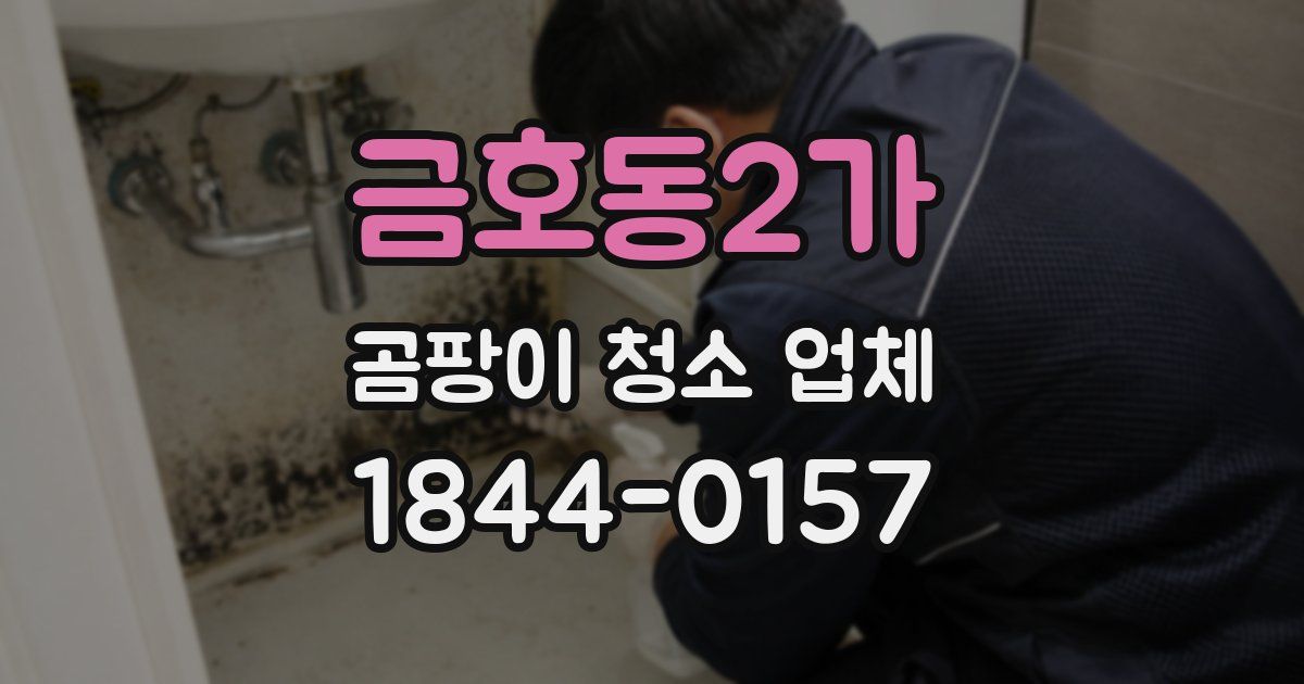 금호동2가 곰팡이 청소 업체