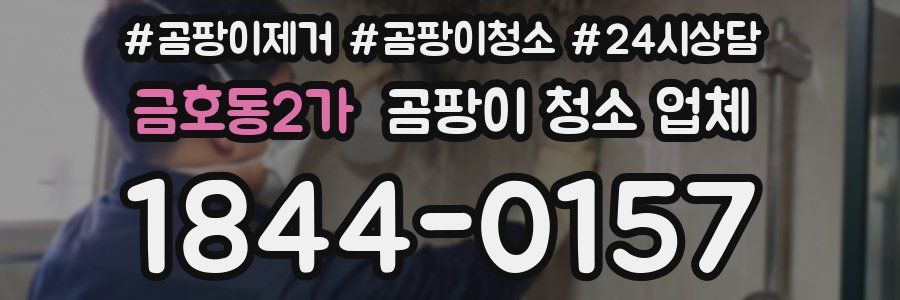 금호동2가 곰팡이 청소 업체