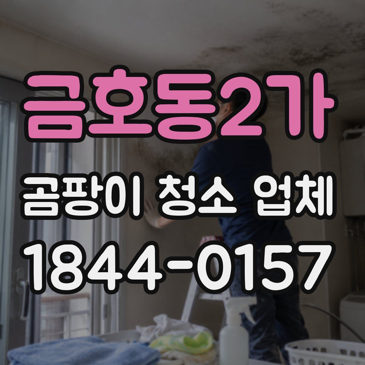 금호동2가 곰팡이 청소 업체