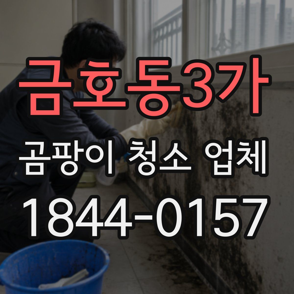 금호동3가 곰팡이 청소 업체