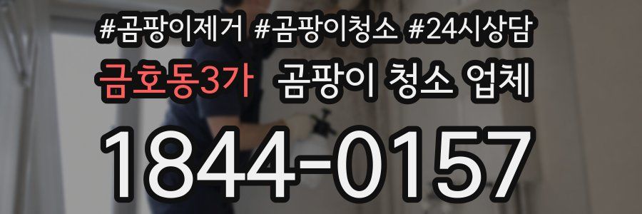 금호동3가 곰팡이 청소 업체