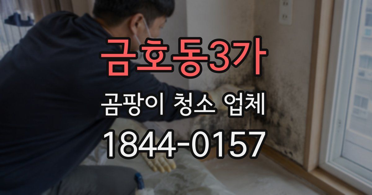 금호동3가 곰팡이 청소 업체