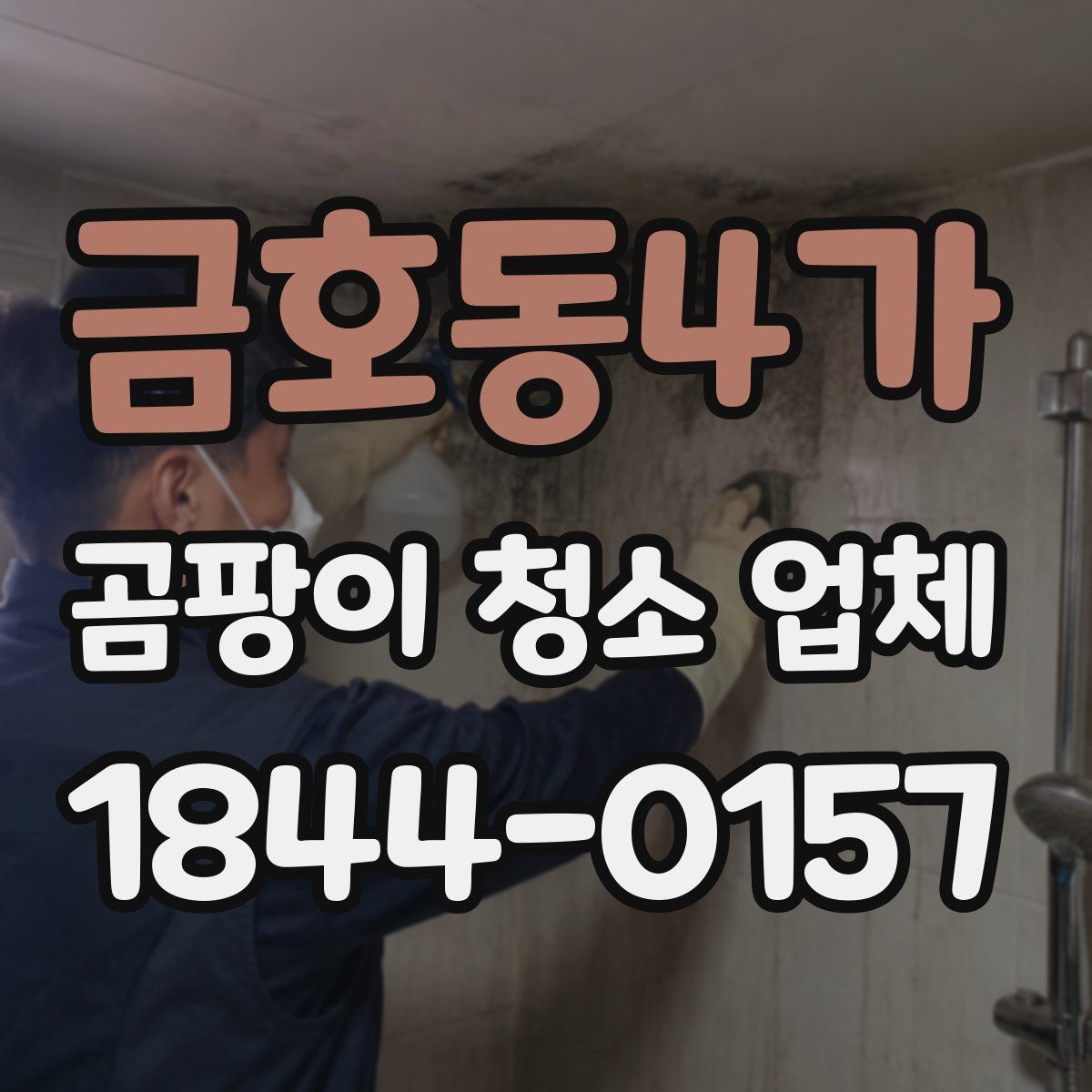 금호동4가 곰팡이 청소 업체
