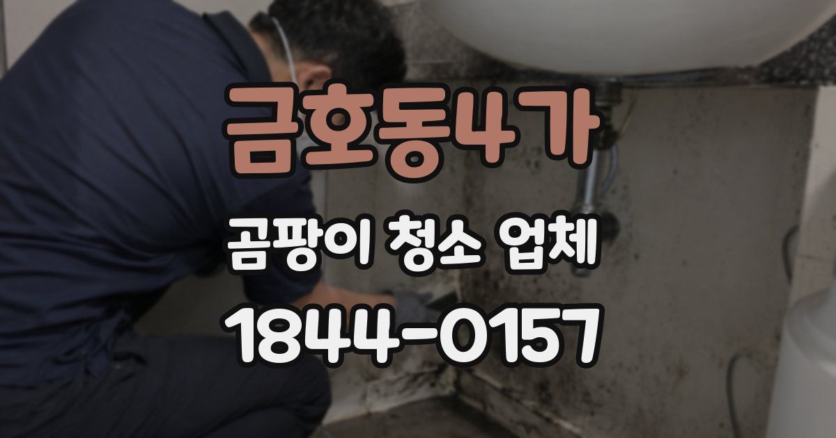 금호동4가 곰팡이 청소 업체