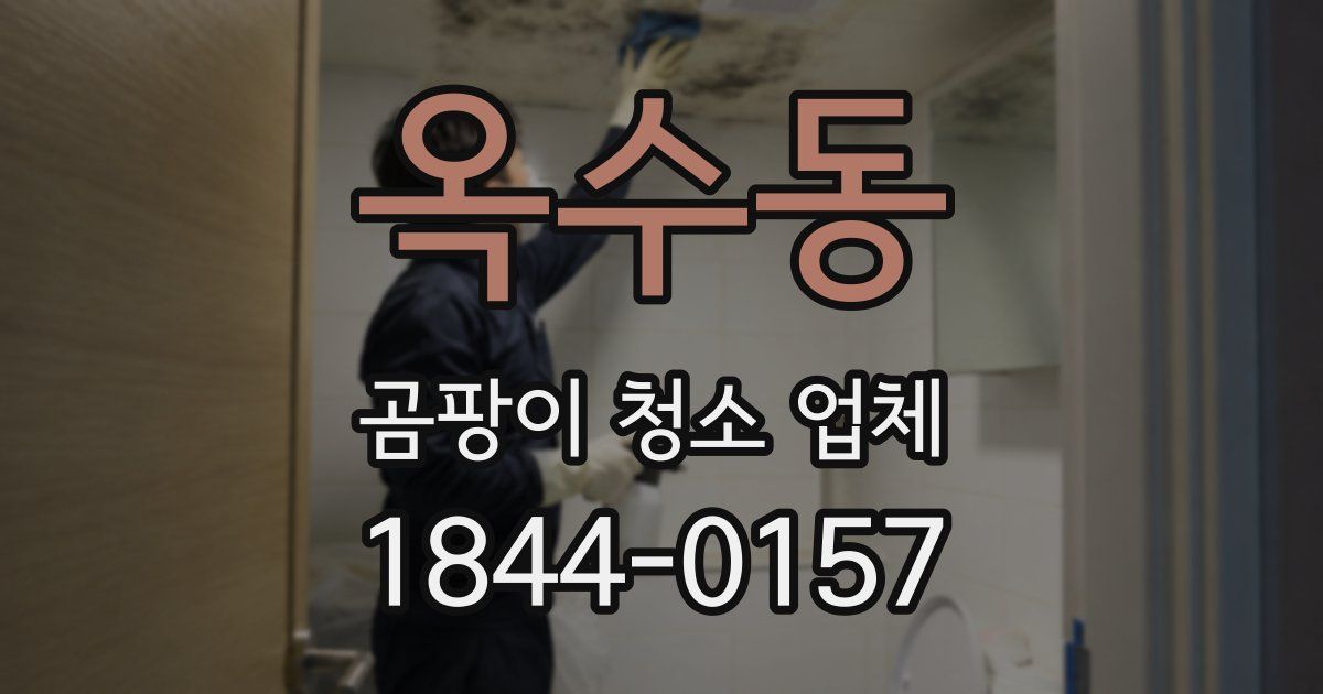 옥수동 곰팡이 청소 업체