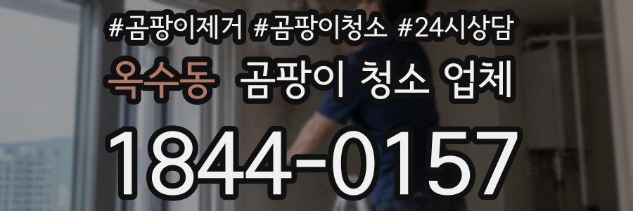 옥수동 곰팡이 청소 업체