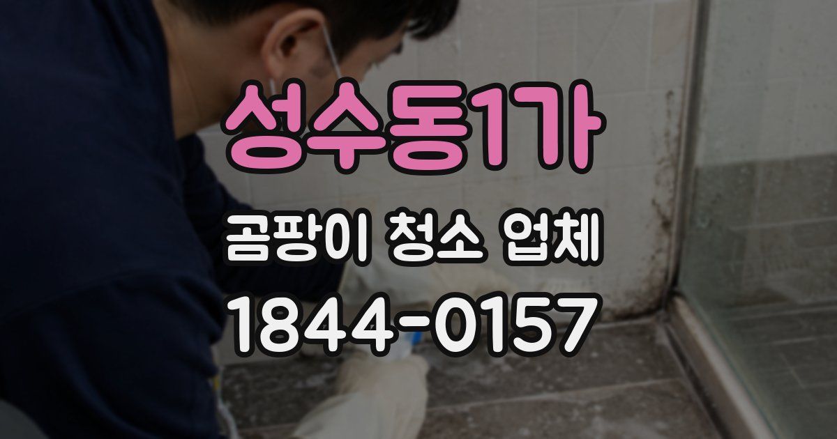 성수동1가 곰팡이 청소 업체