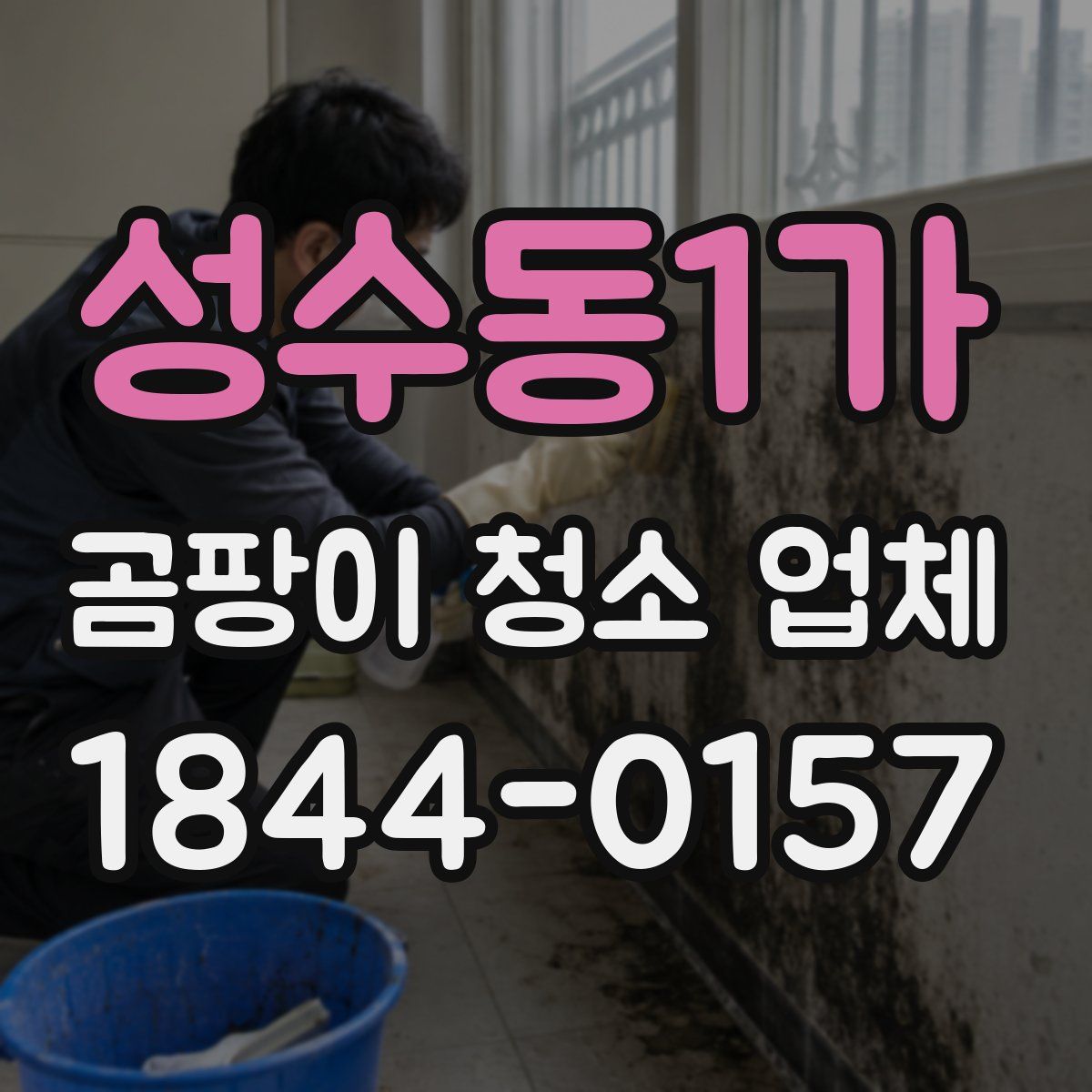 성수동1가 곰팡이 청소 업체