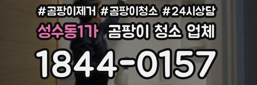 성수동1가 곰팡이 청소 업체