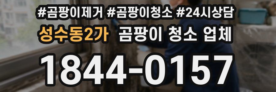 성수동2가 곰팡이 청소 업체