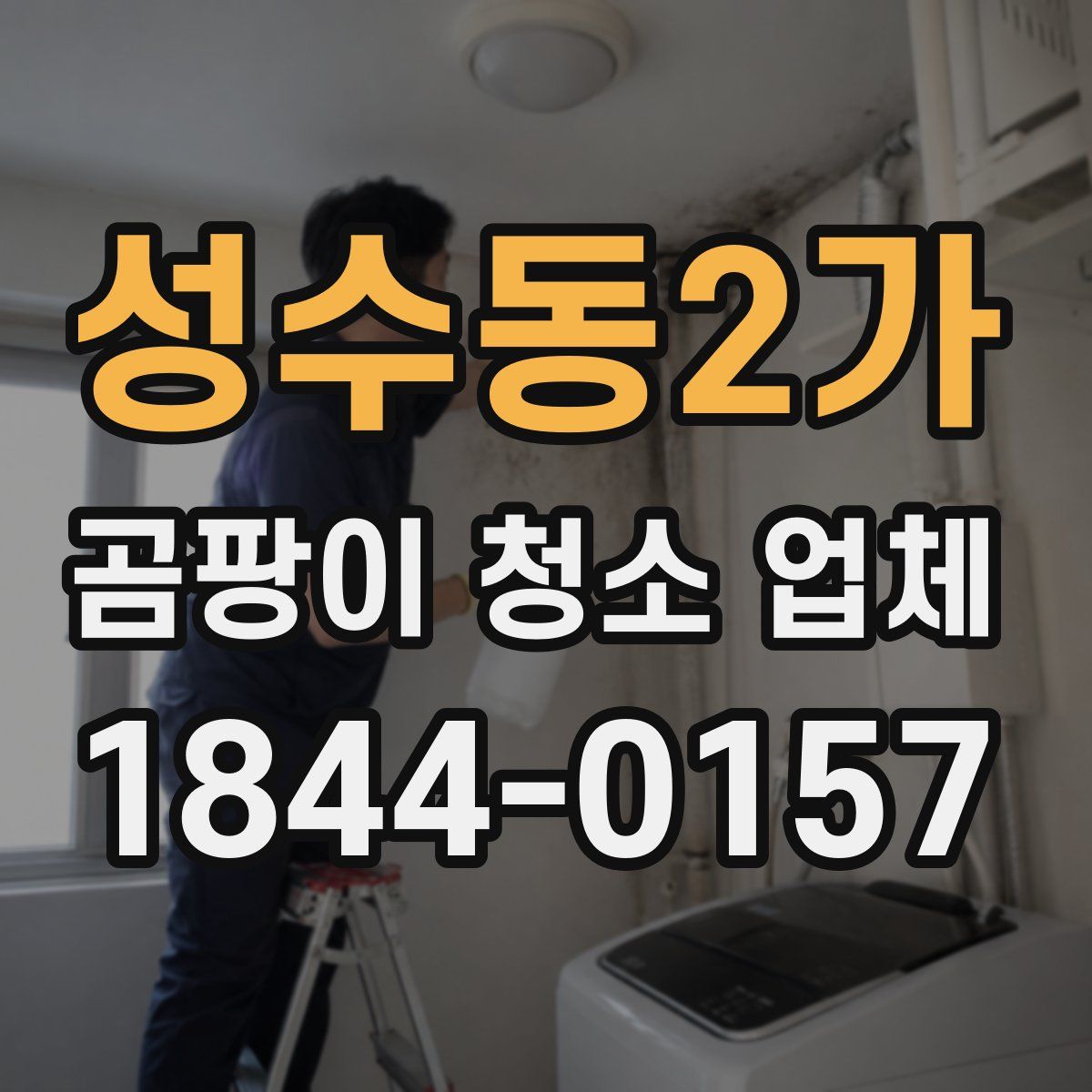 성수동2가 곰팡이 청소 업체