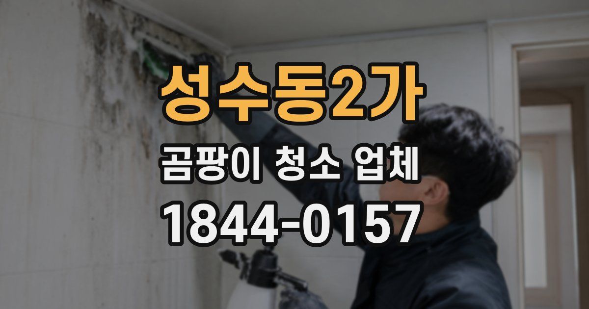성수동2가 곰팡이 청소 업체