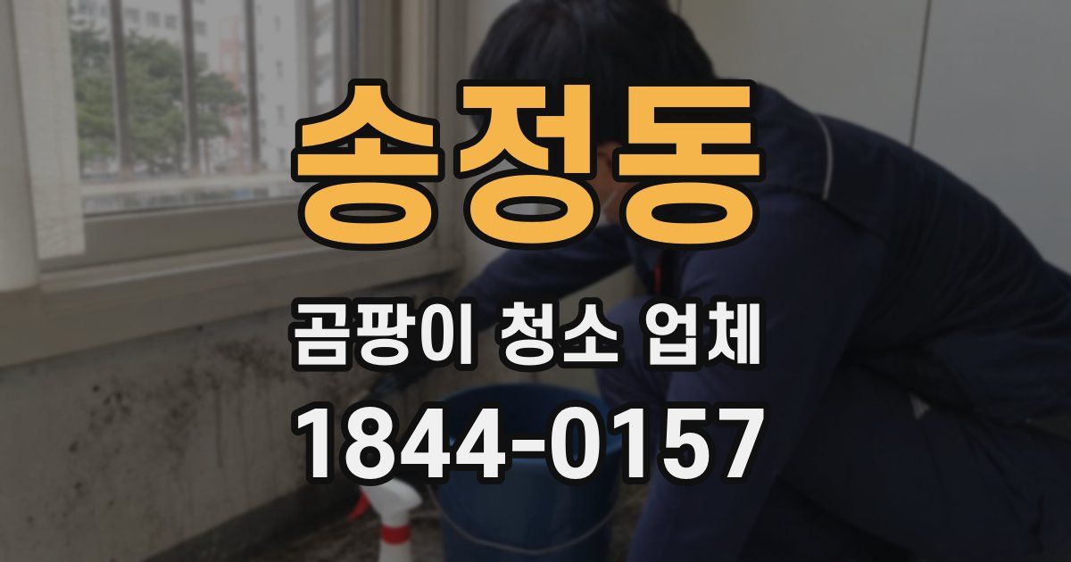 송정동 곰팡이 청소 업체