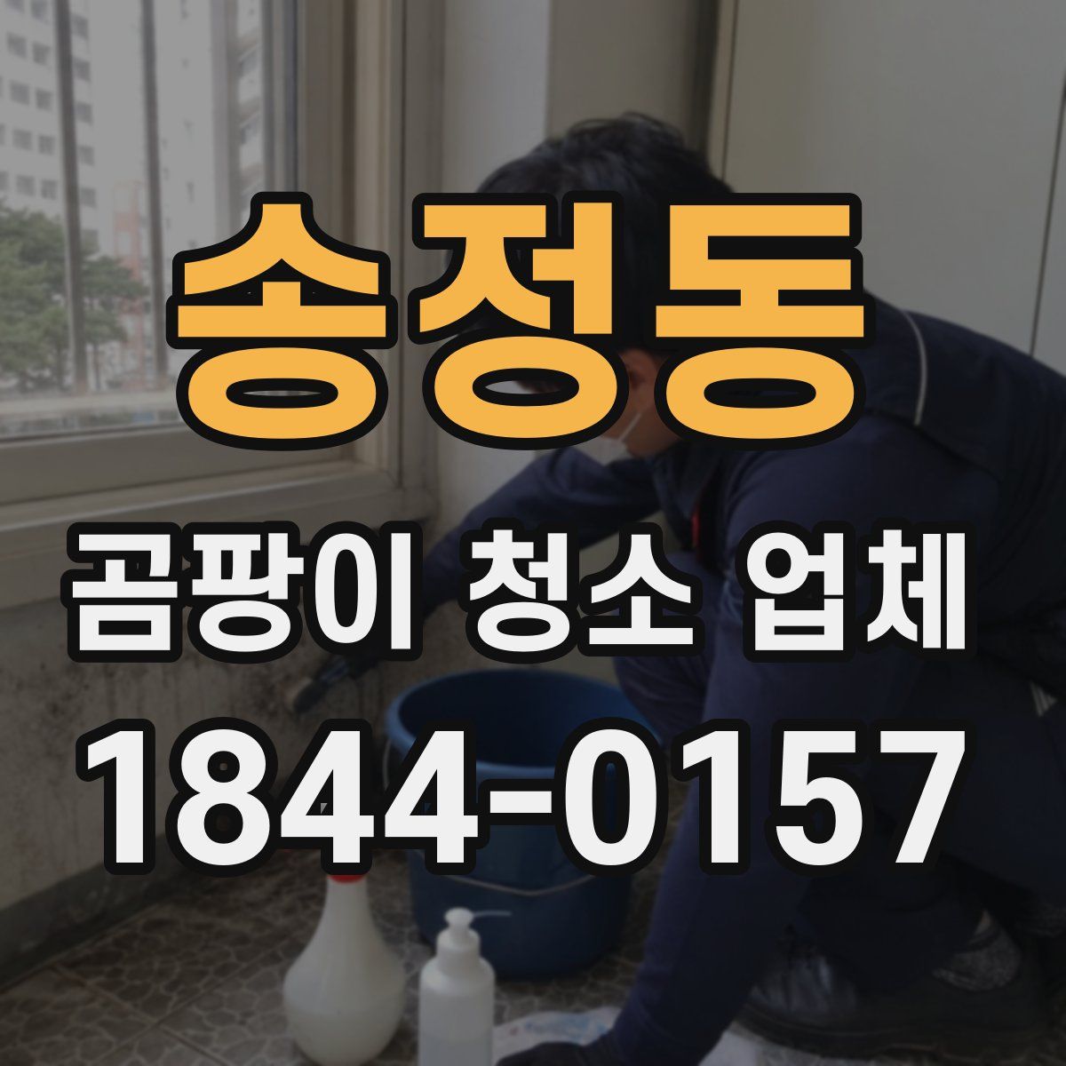 송정동 곰팡이 청소 업체