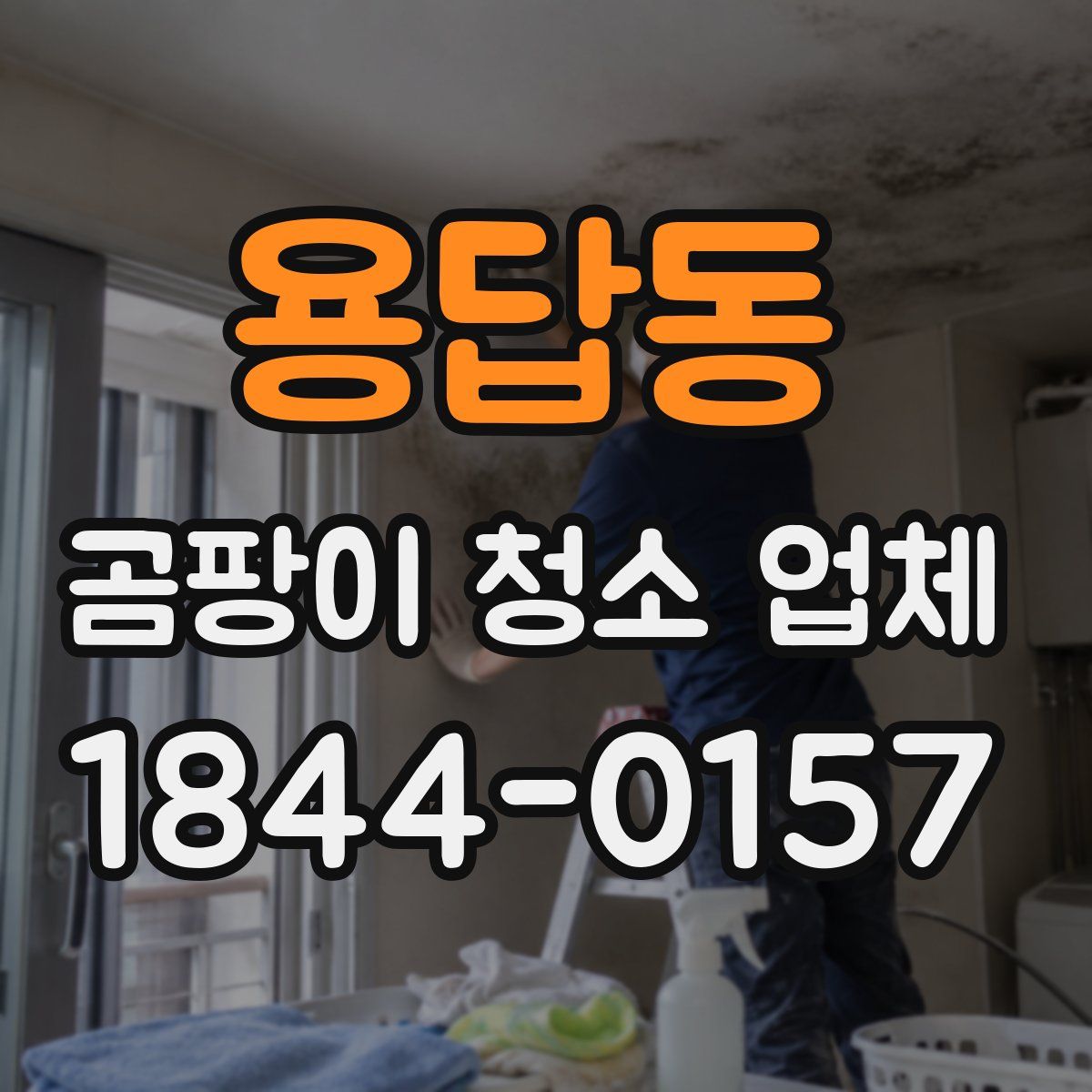 용답동 곰팡이 청소 업체