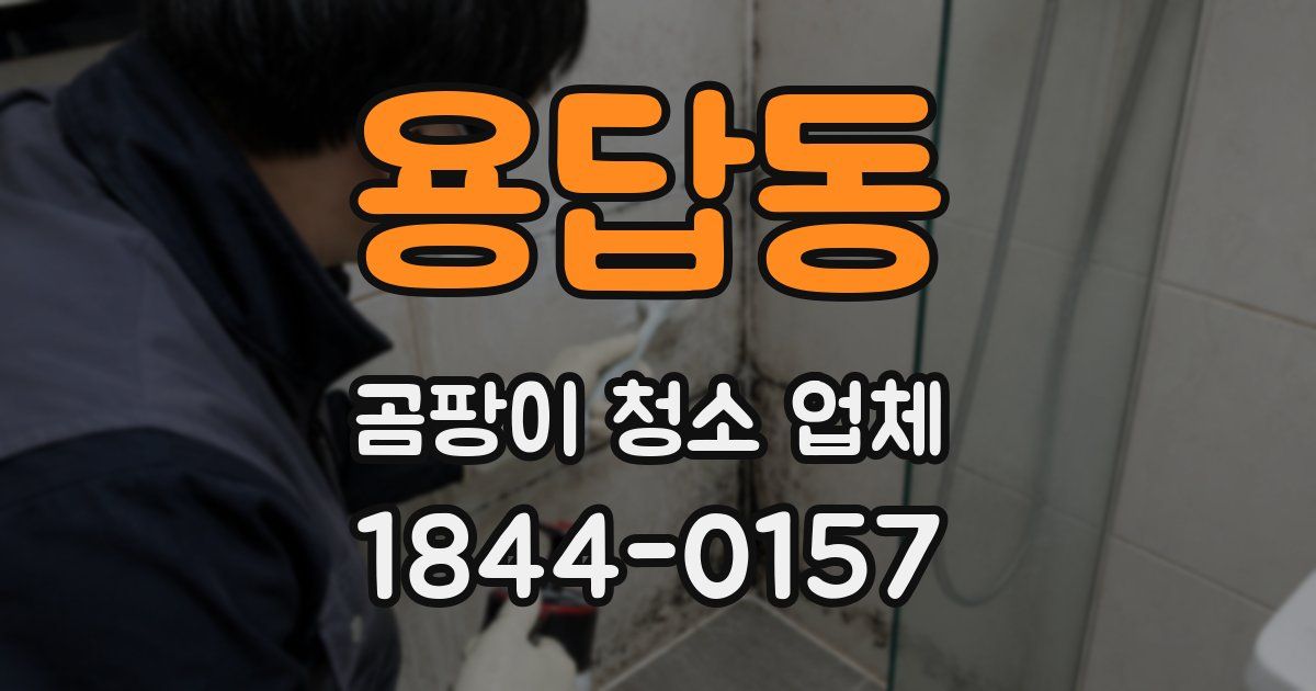 용답동 곰팡이 청소 업체