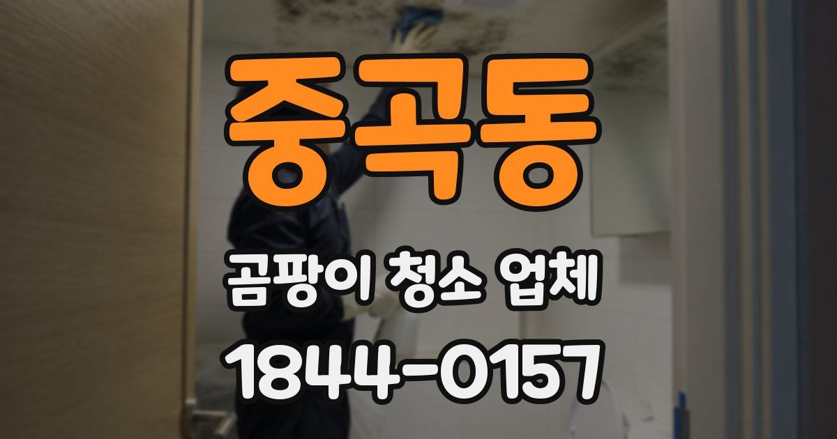 중곡동 곰팡이 청소 업체