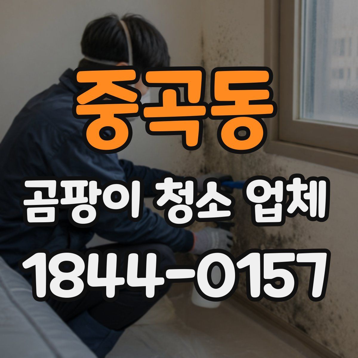 중곡동 곰팡이 청소 업체