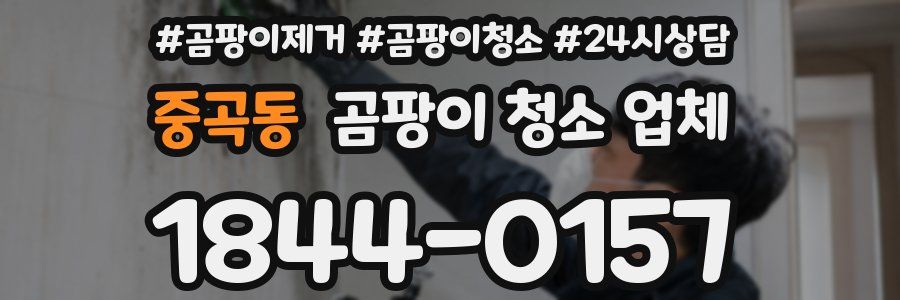 중곡동 곰팡이 청소 업체
