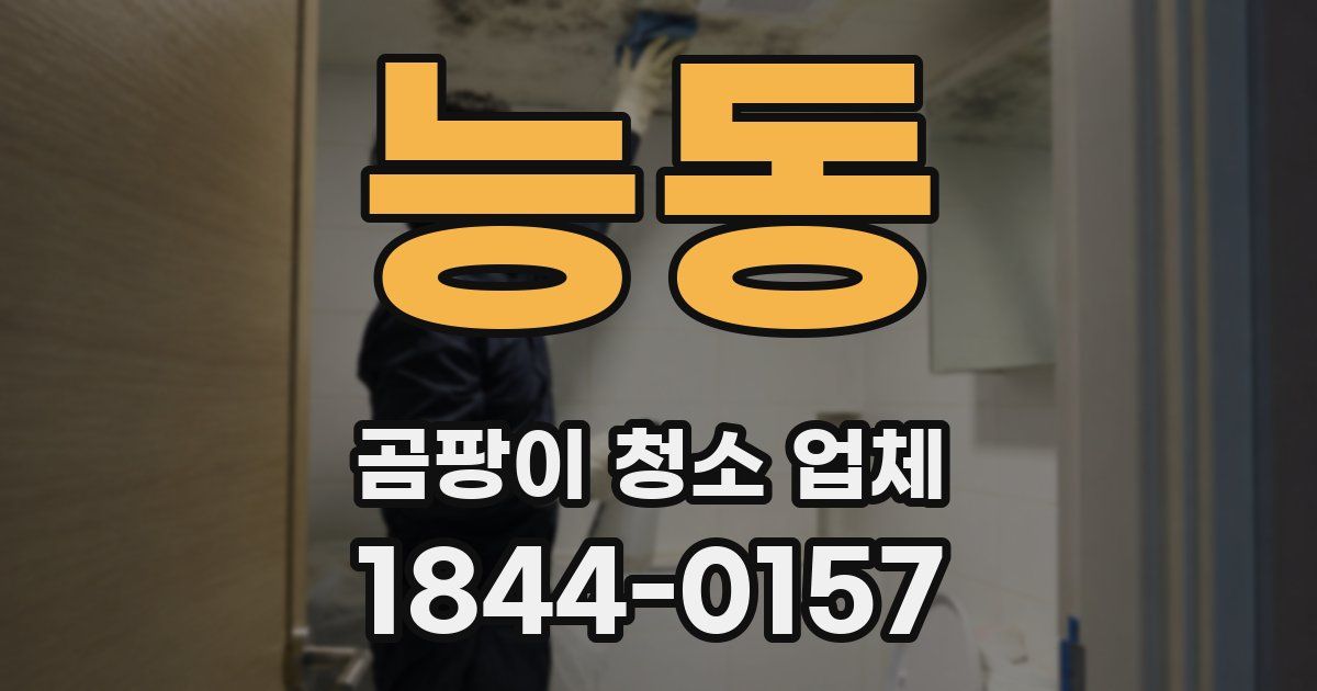 능동 곰팡이 청소 업체