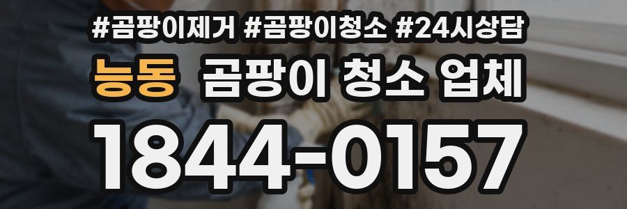능동 곰팡이 청소 업체