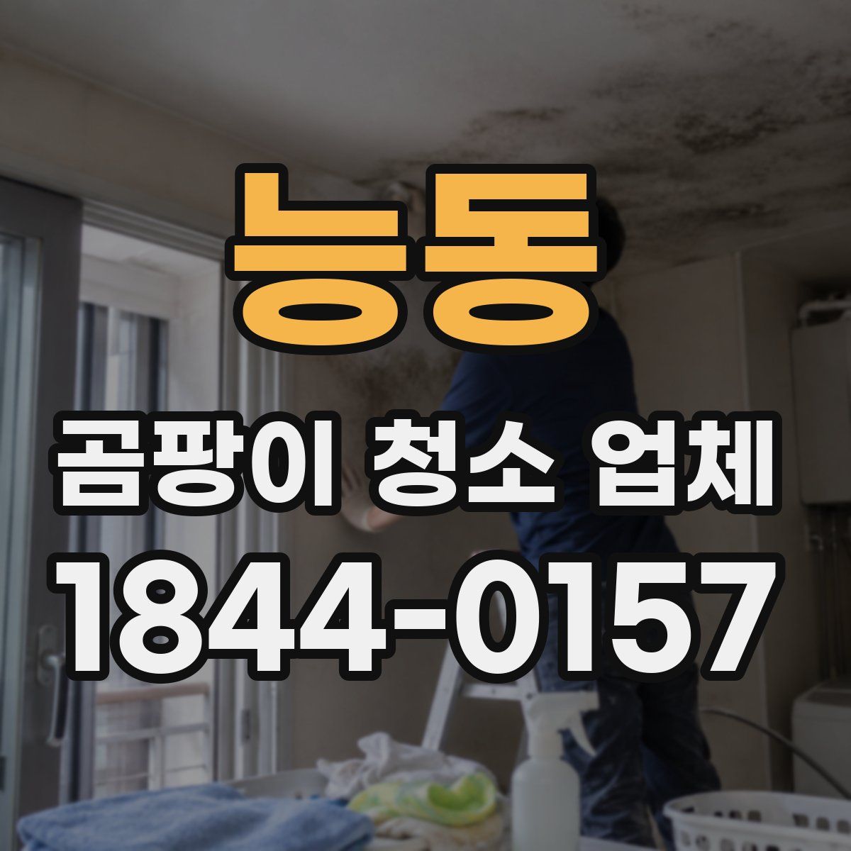 능동 곰팡이 청소 업체