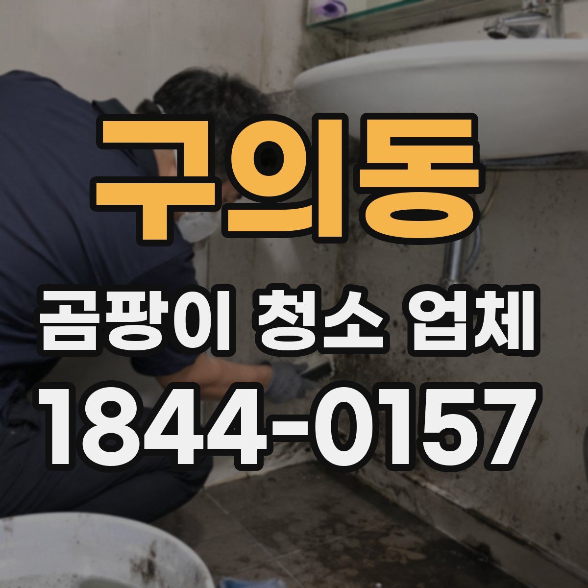 구의동 곰팡이 청소 업체