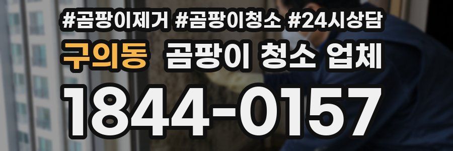 구의동 곰팡이 청소 업체