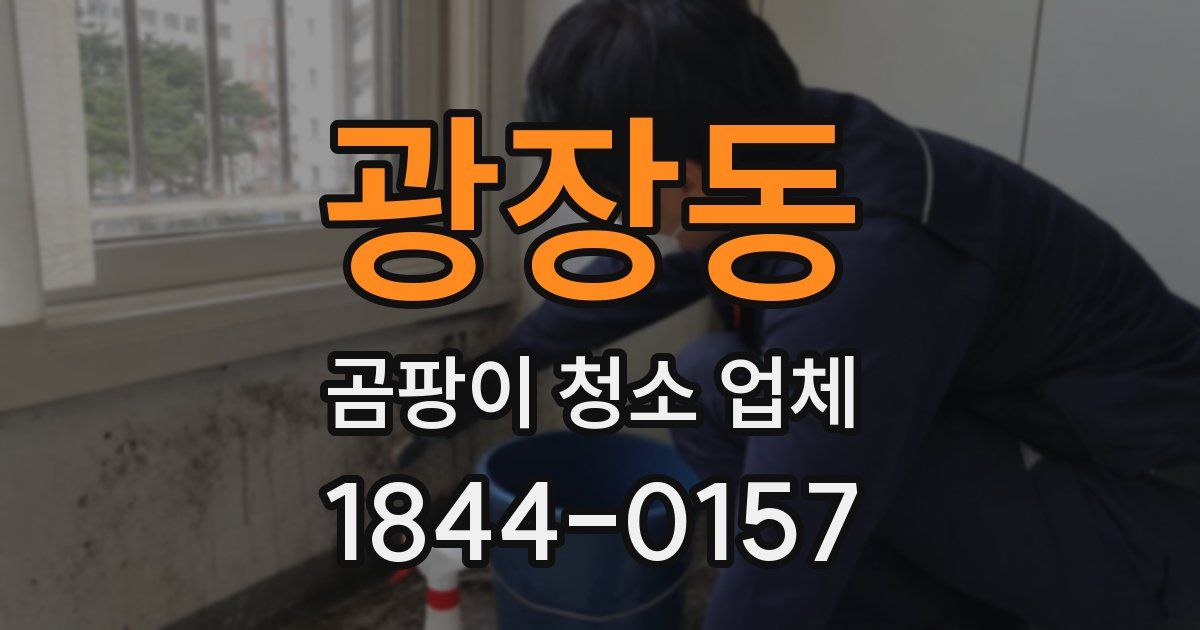 광장동 곰팡이 청소 업체