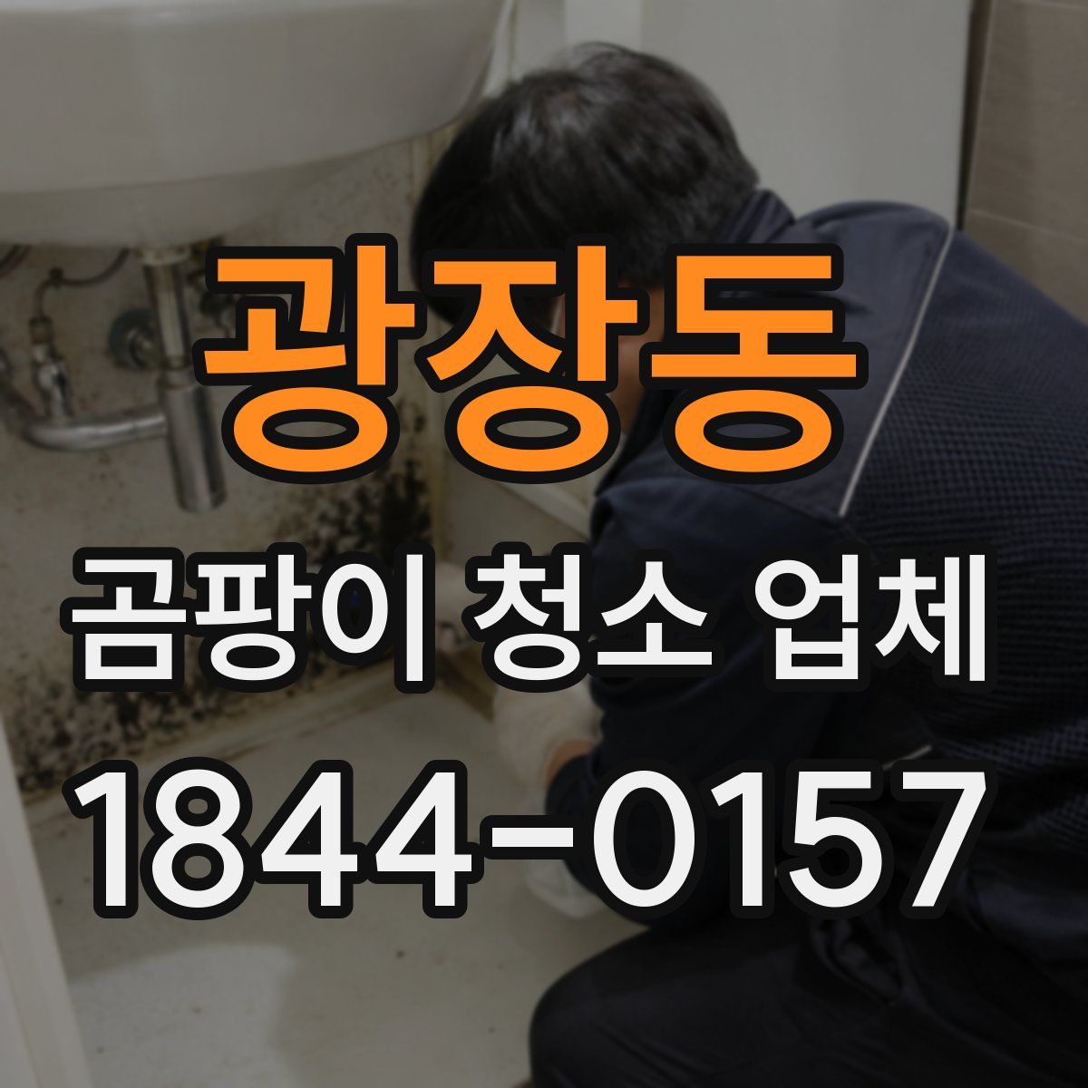 광장동 곰팡이 청소 업체