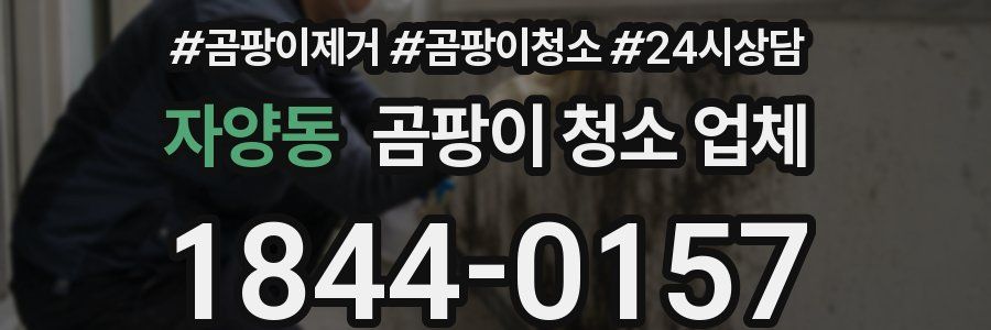 자양동 곰팡이 청소 업체