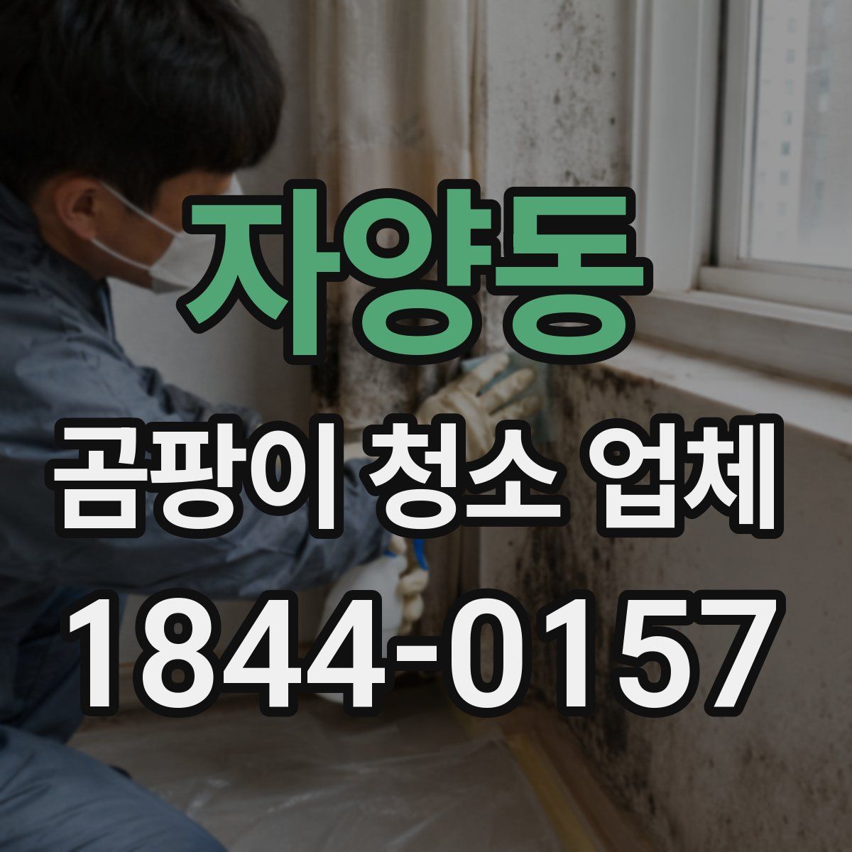 자양동 곰팡이 청소 업체