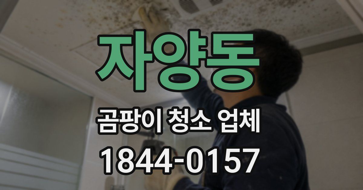 자양동 곰팡이 청소 업체