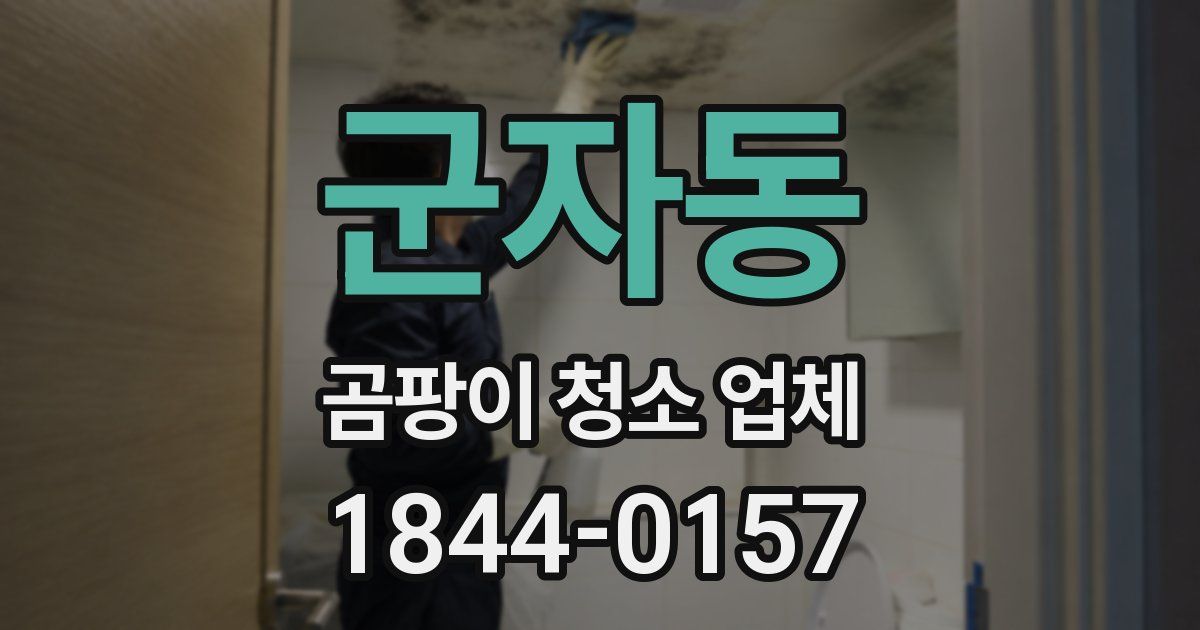 군자동 곰팡이 청소 업체