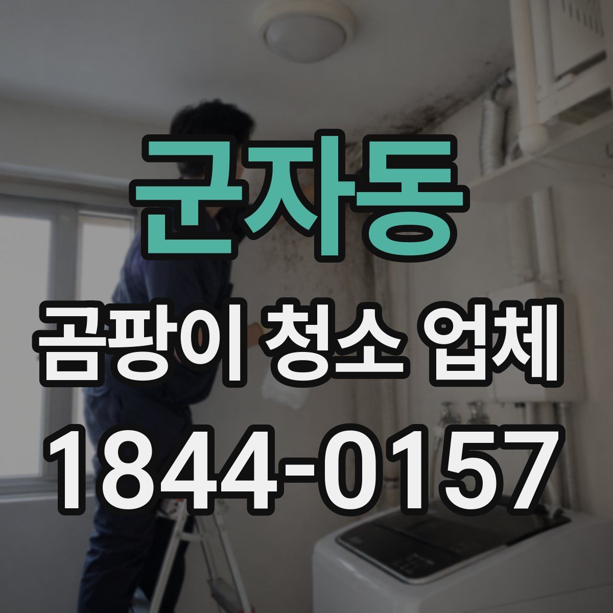 군자동 곰팡이 청소 업체