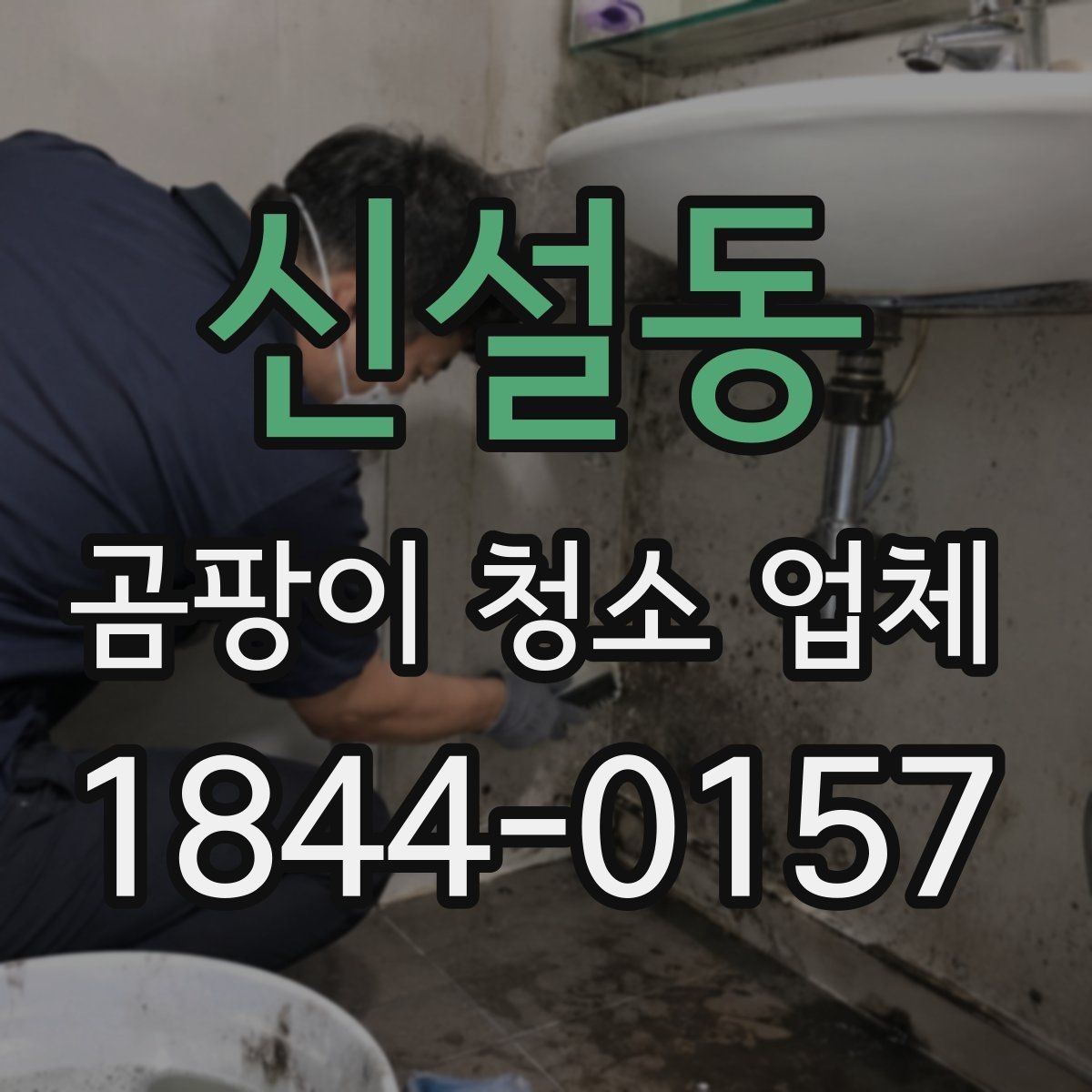 신설동 곰팡이 청소 업체 누수 의심 구간은 어떻게 먼저 살피나