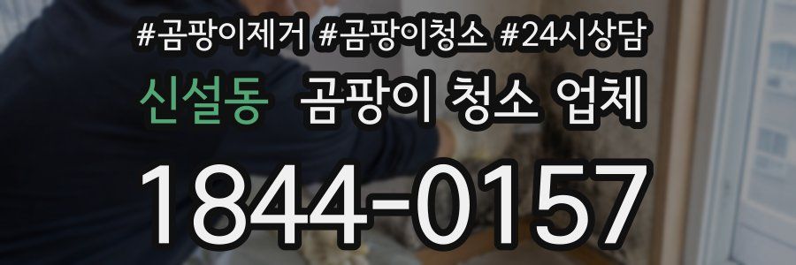 신설동 곰팡이 청소 업체