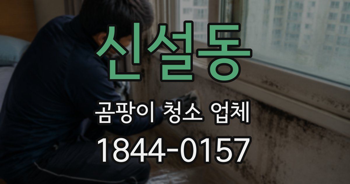 신설동 곰팡이 청소 업체