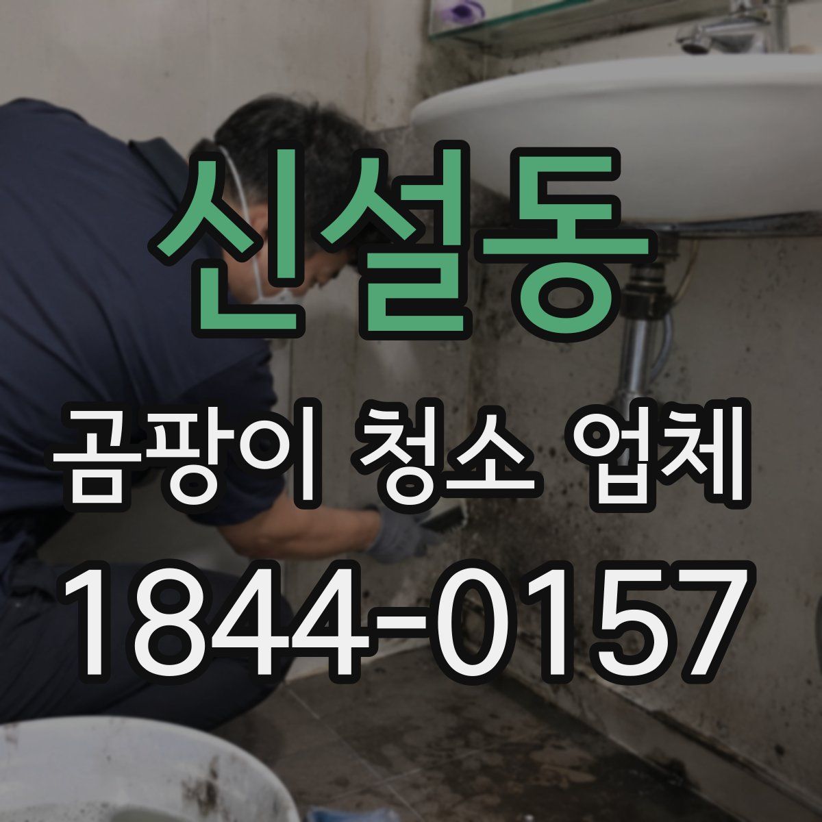 신설동 곰팡이 청소 업체