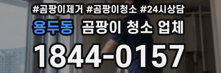 용두동 곰팡이 청소 업체