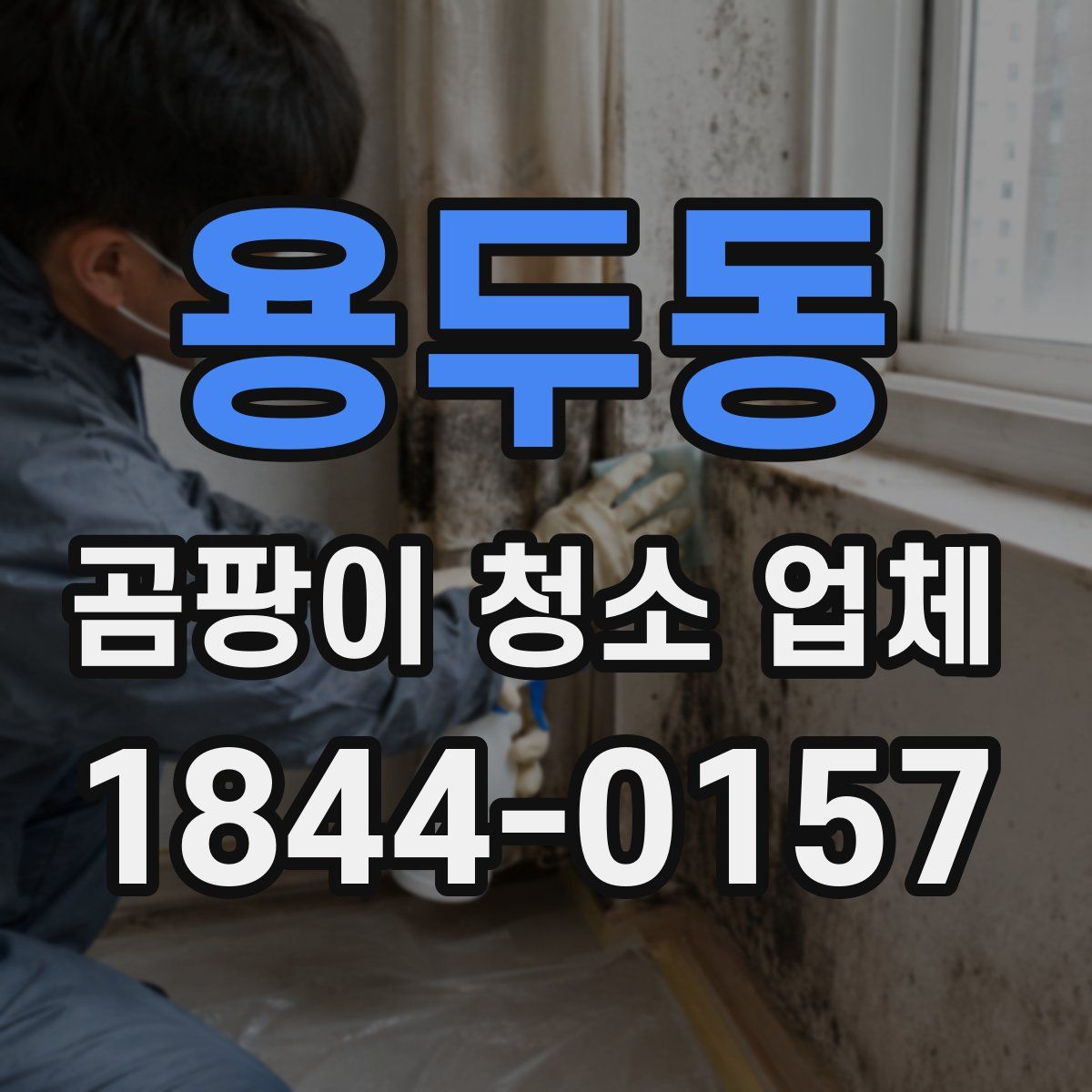 용두동 곰팡이 청소 업체