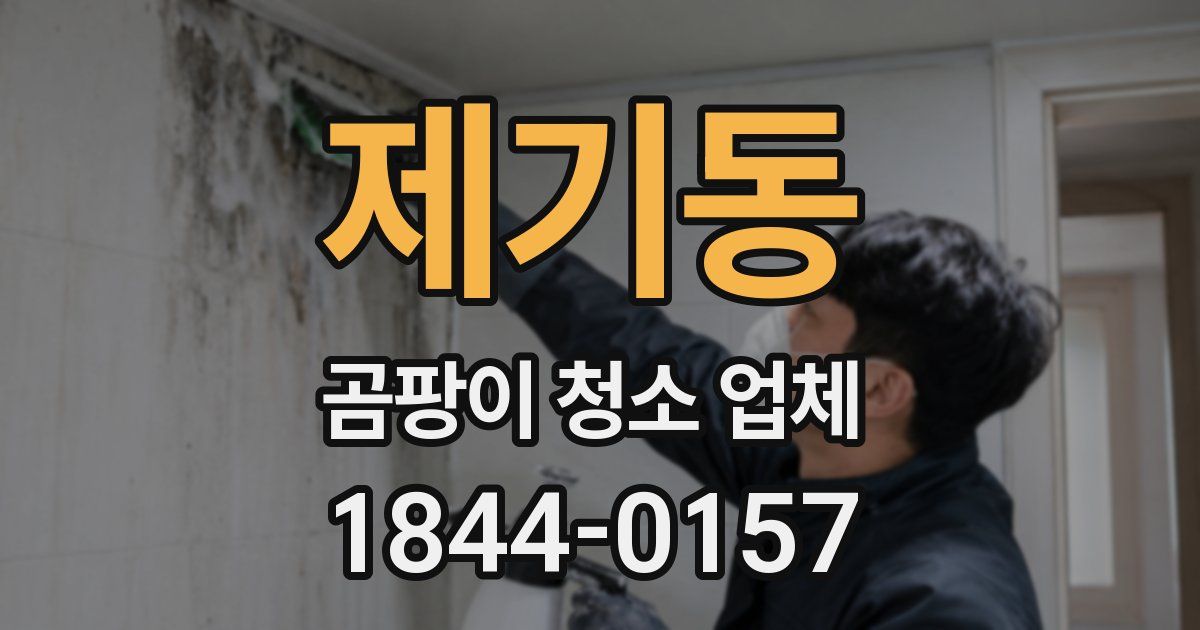 제기동 곰팡이 청소 업체