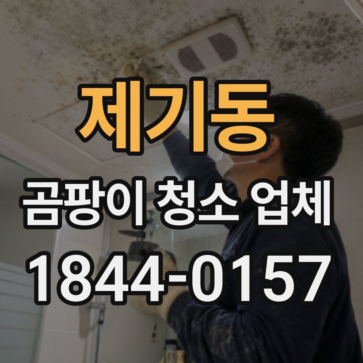 제기동 곰팡이 청소 업체