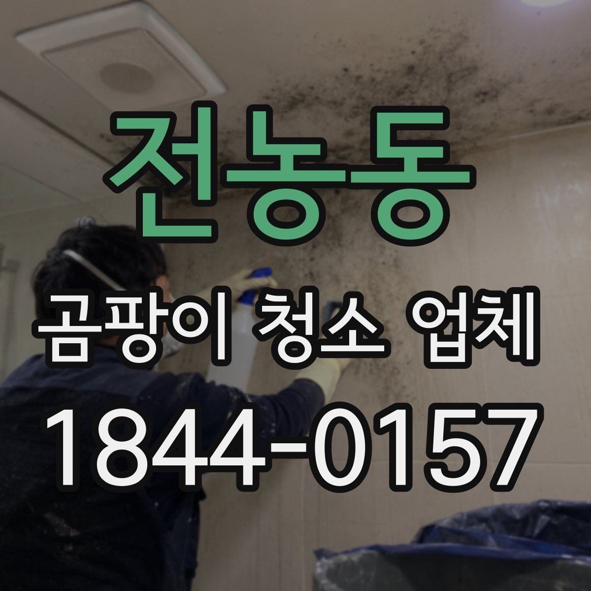 전농동 곰팡이 청소 업체 실내 공기질 회복을 위한 사후 관리