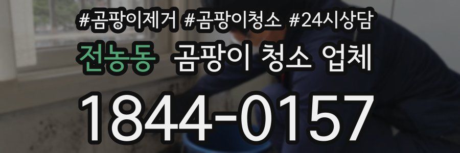 전농동 곰팡이 청소 업체