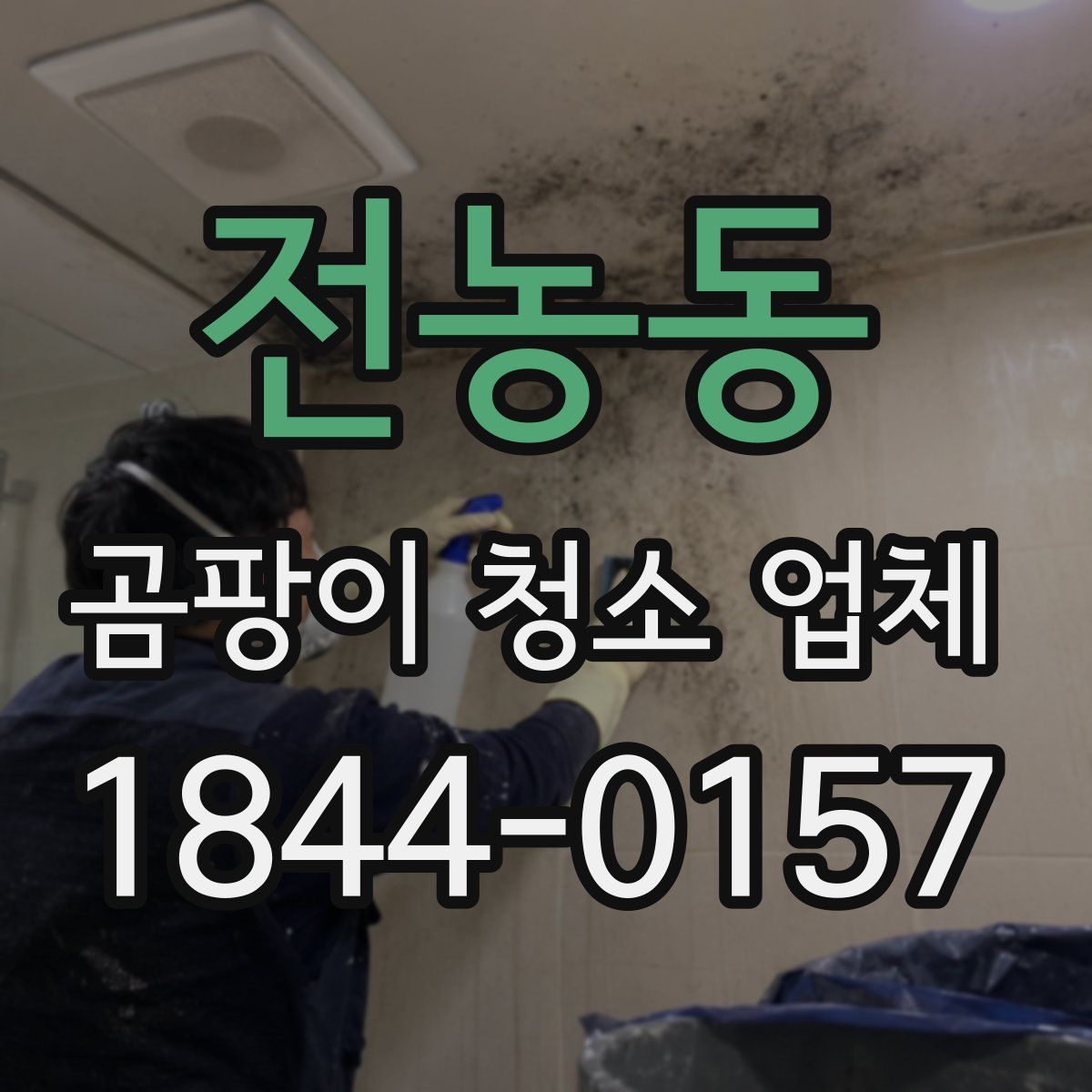 전농동 곰팡이 청소 업체