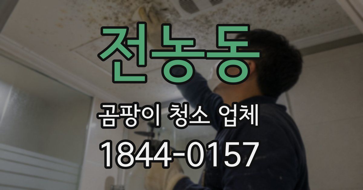 전농동 곰팡이 청소 업체