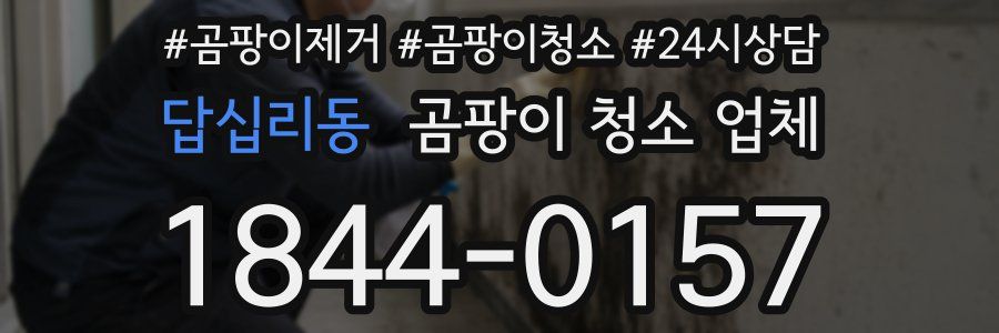 답십리동 곰팡이 청소 업체