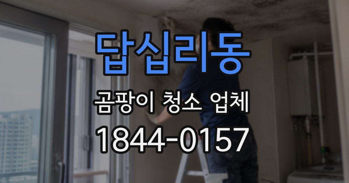 답십리동 곰팡이 청소 업체