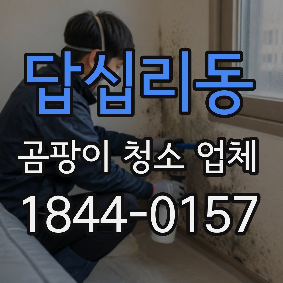 답십리동 곰팡이 청소 업체